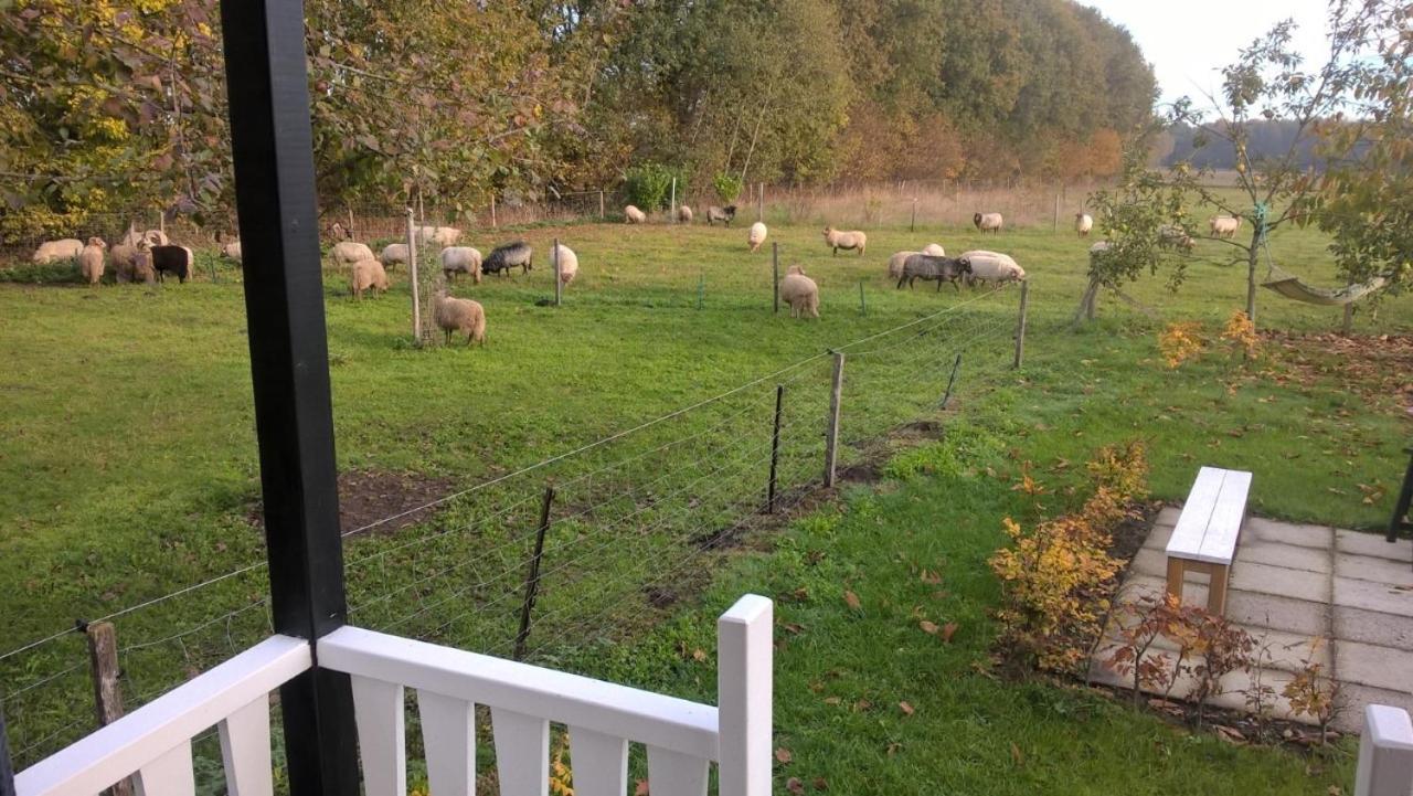 Pipowagen Elsebein Groningen Westerwolde Unieke Ligging Met Eigen Tuin En Vrij Uitzicht Over Veld Naar Natuurgebied Onstwedde Exterior foto