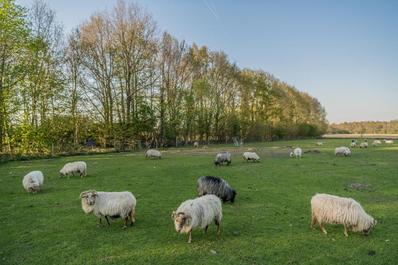 Pipowagen Elsebein Groningen Westerwolde Unieke Ligging Met Eigen Tuin En Vrij Uitzicht Over Veld Naar Natuurgebied Onstwedde Exterior foto